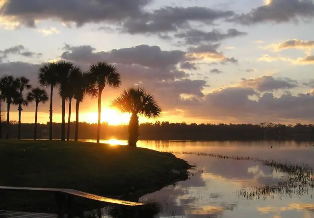 Sunrise through palm trees over Lake Virginia, Winter Park